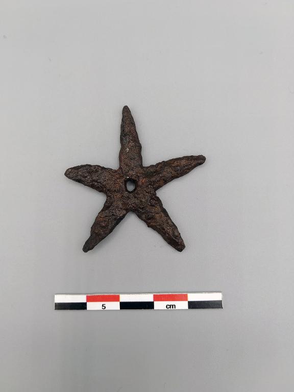 Molette d'éperon à cinq branches