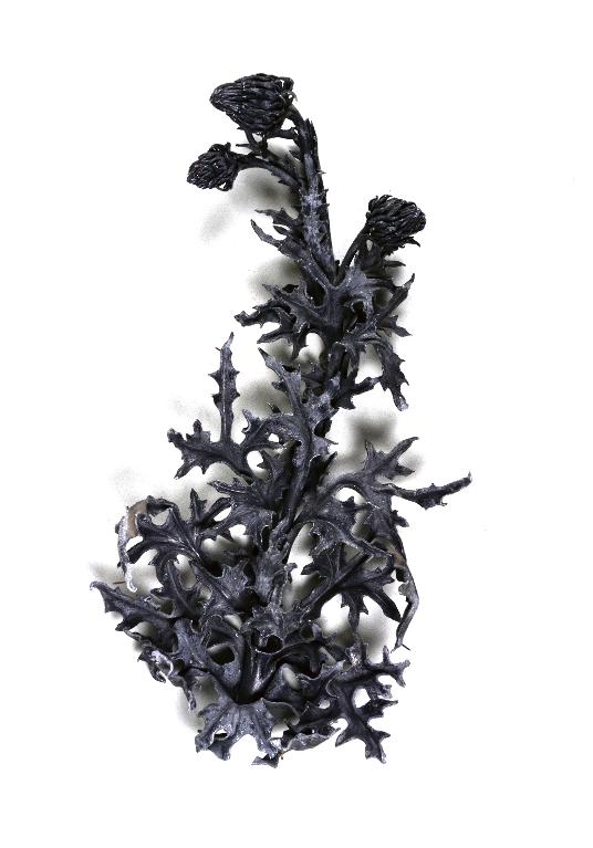 Pied de chardon en plomb