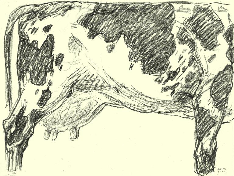 Flanc droit d'une vache laitière, salon de l'Agriculture, Paris