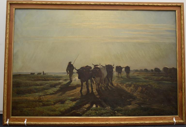 Boeufs se rendant au labour