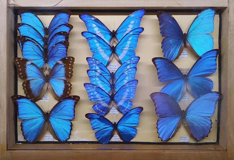 La nature en couleur