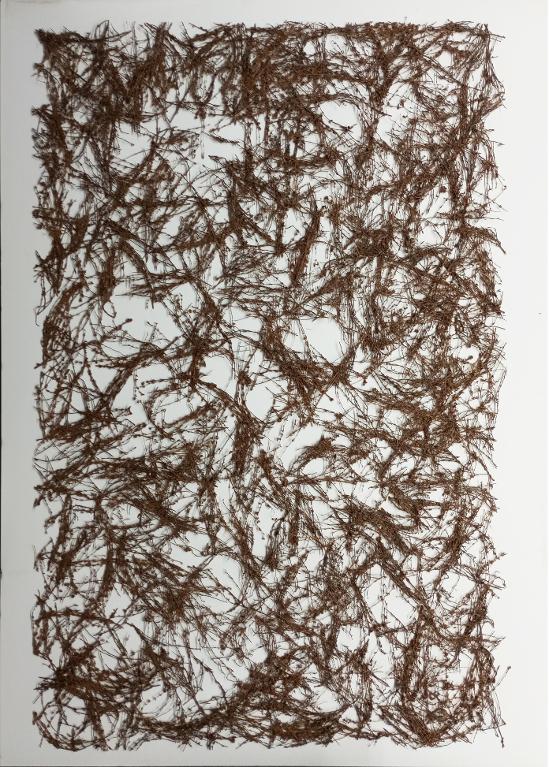 Triptyque végétal de Paca Sanchez (Thym, Tilleul, Hysope)