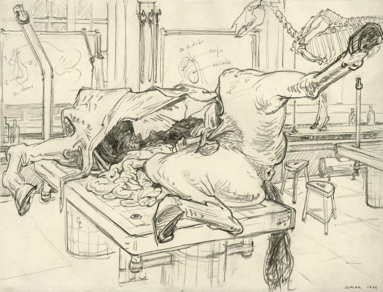 Dissection chevaline à l'École vétérinaire de Maisons-Alfor