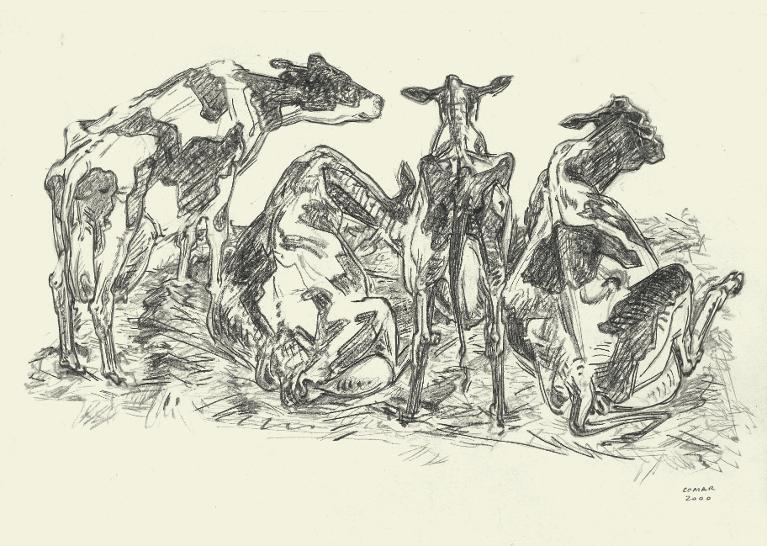 Quatre vaches vues par la croupe, race Prim’Holstein, salon de l’Agriculture, Paris