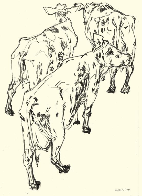 Trois vaches laitières en vue plongeante, salon de l'Agriculture, Paris