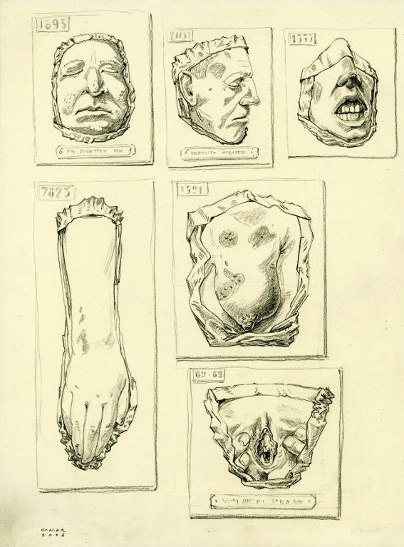 Six cires anatomiques (trois visages, un avant-bras, un sein, une vulve)