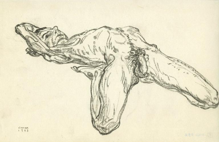 Nu masculin au sol, allongé sur le dos, les jambes repliées sous les cuisses, vu par le sexe