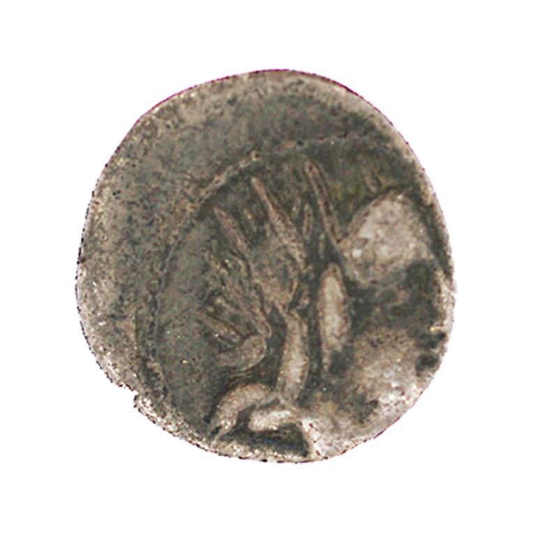 monnaie : Denier romain républicain
