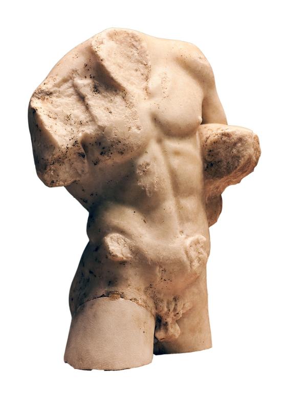 Faune