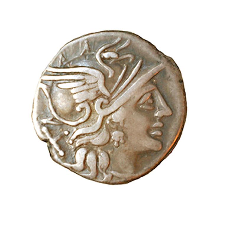 Le trésor du Noyer