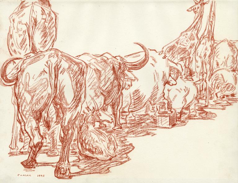  Cortège de mammifères