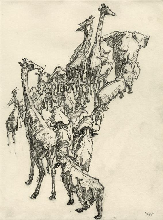 Grand cortège de mammifères (en vue plongeante)