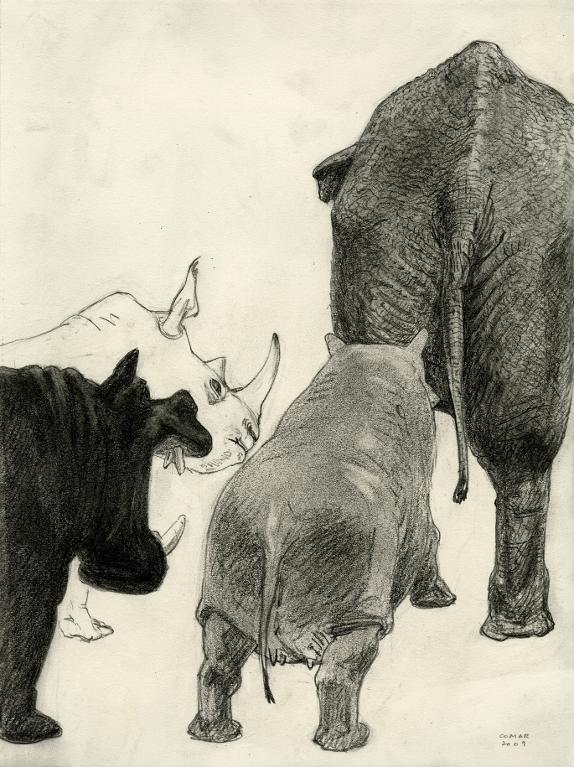 Quatre pachydermes (deux hippopotames, un rhinocéros blanc et un éléphant)
