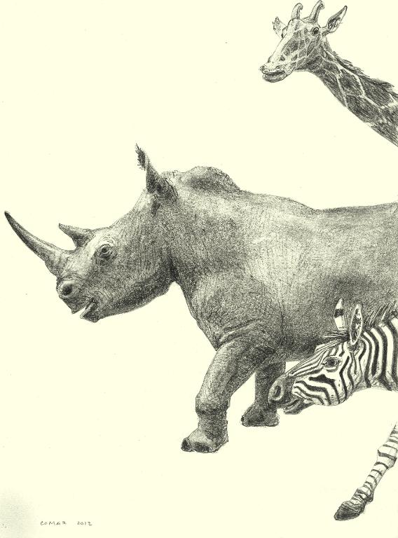 Girafe, rhinocéros et zèbre