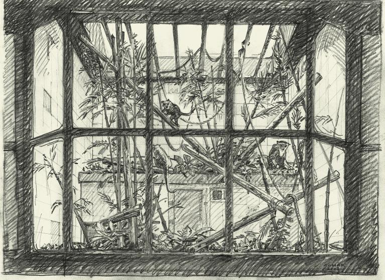 Cage avec trois singes, ménagerie du Jardin des Plantes, Paris