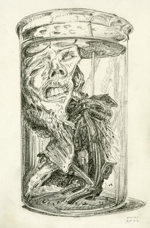 Tête humaine anatomisée dans un bocal, musée Orfila, Paris