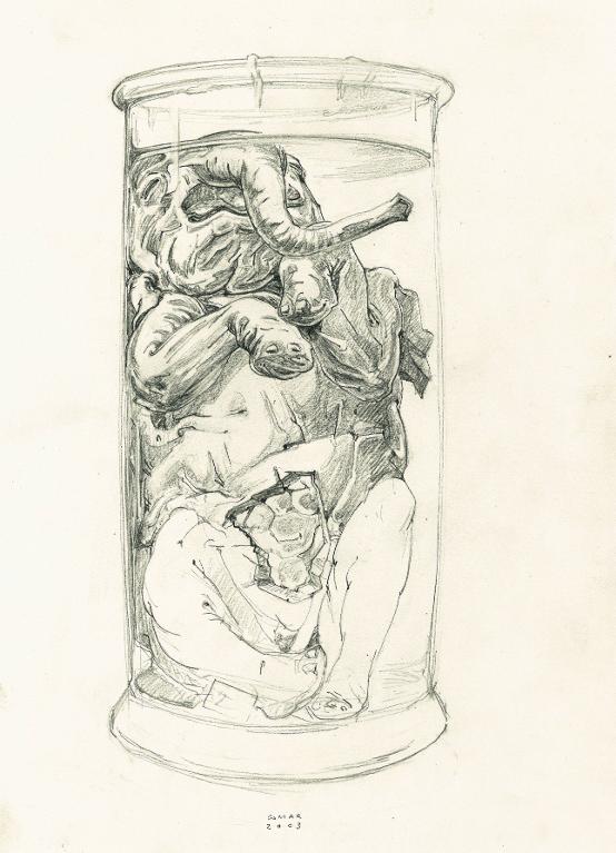 Fœtus d’éléphant dans un bocal, laboratoire d’anatomie