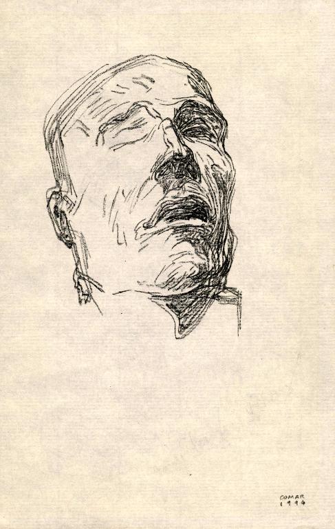 Tête de guillotiné (moulage en plâtre), musée Orfila, Paris