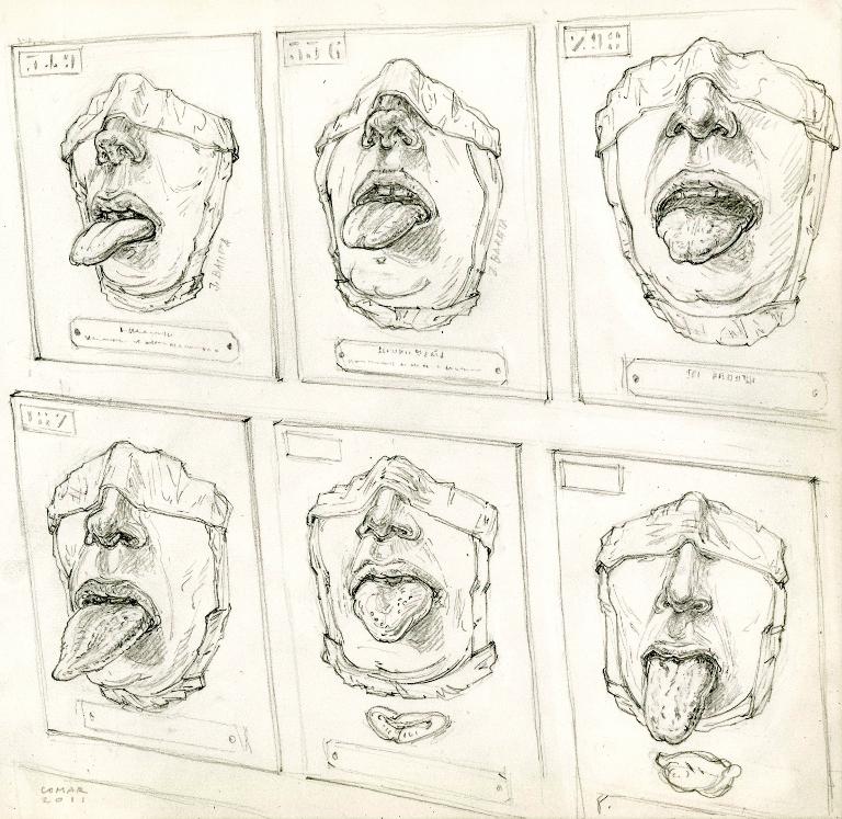 Six langues, cires anatomiques du musée des moulages de l'hôpital Saint-Louis, Paris