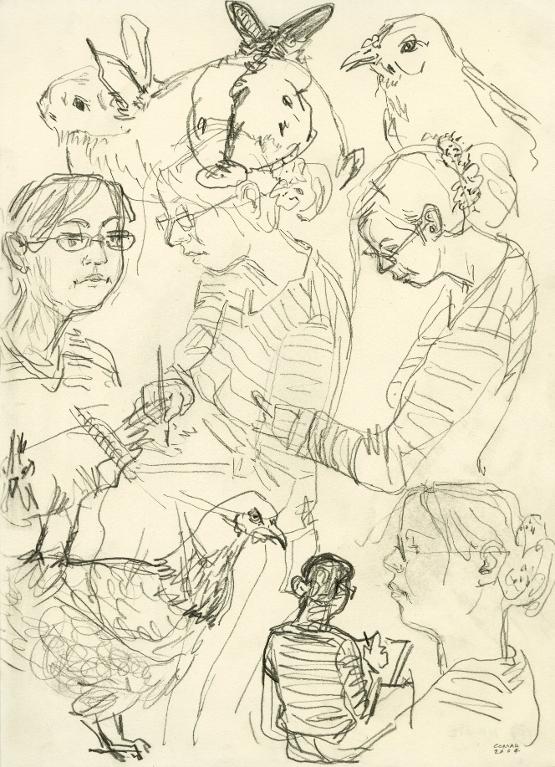 Quatre portraits d'Agnès Maupré (illustratrice) entourée de quelques poules et lapins