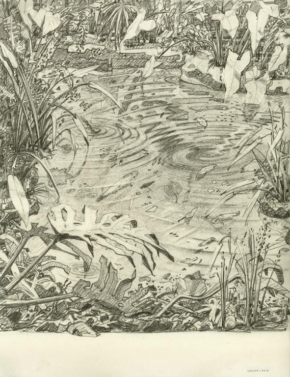Bassin de la serre tropicale du Muséum national d'histoire naturelle, Paris