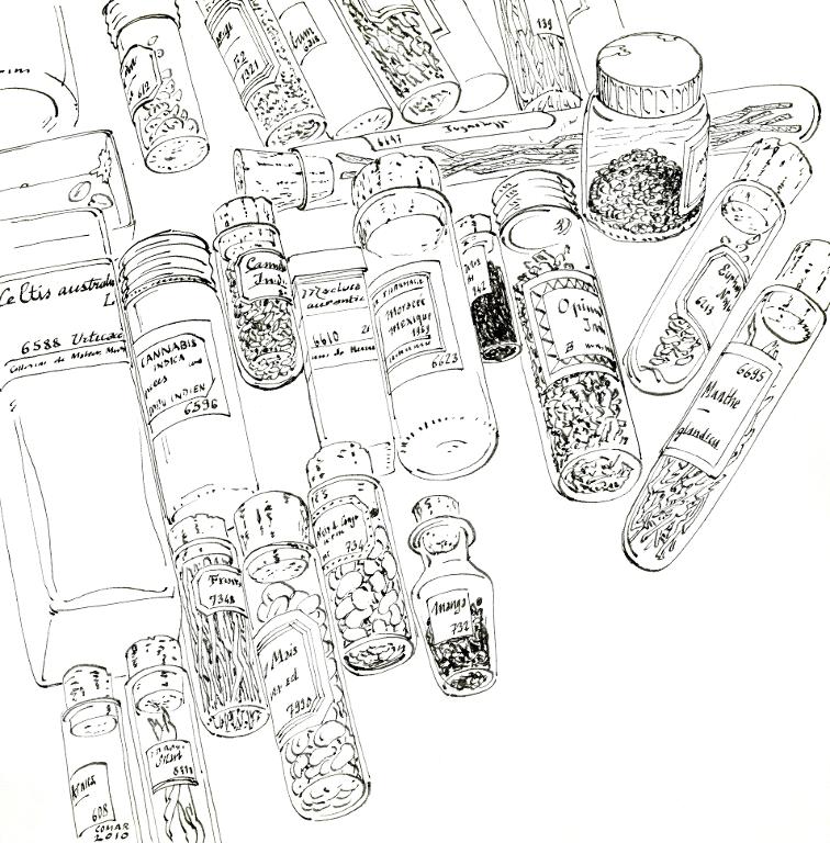 Extraits de plantes dans des tubes de verre, musée de Pharmacognosie, Paris