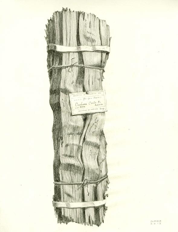 Extraits de plante, étiquetés et liés entre eux, musée de Pharmacognosie, Paris