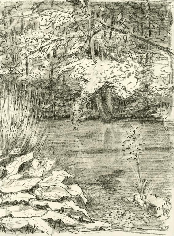 La rivière du Moulin de Crotteaux (Suèvres)